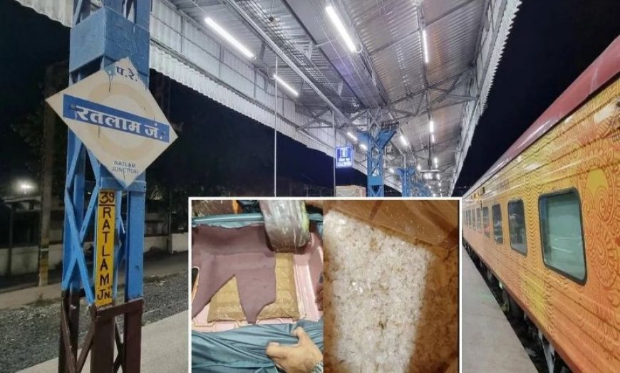 रतलाम में DRI की बड़ी कार्रवाई: ट्रॉली बैग में छिपाकर ले जा रही थी 1.6 करोड़ की ड्रग, नाइजीरियन महिला गिरफ्तार