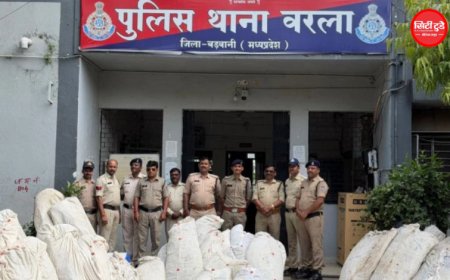 बड़वानी के जंगलों में गांजे की अवैध खेती का भंडाफोड़, 75 जवानों ने घेरा डालकर 6,185 पौधे किए जब्त