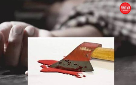 शहडोल में खेत के बीच बने घर में महिला की हत्या, सिर पर भारी वस्तु से किया वार; अकेली रहती थी विधवा