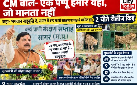 CM बोले- एक पप्पू हमारे यहां, जो मानता नहीं:कहा- भगवान सद्बुद्धि दे, सागर में वन्य प्राणी संरक्षण सप्ताह में शामिल हुए; 2 चीते रीलीज किए