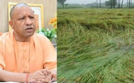 गोरखपुर में किसानों के खातों में ट्रांसफर हुई राशि, फसल नुकसान की भरपाई के लिए सरकार ने जारी किया कृषि निवेश अनुदान