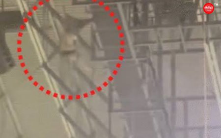  अमेरिका में 170 फीट से गिरकर सैनिक की मौत, स्टेडियम में 23 हजार दर्शक मौजूद
