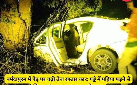 नर्मदापुरम में पेड़ पर चढ़ी तेज रफ्तार कार: गड्ढे में पहिया पड़ने से बिगड़ा संतुलन, बाल-बाल बचे सवार