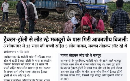 अशोकनगर में खेत से लौट रहे मजदूरों पर गिरी बिजली: 13 साल की बच्ची समेत 5 घायल, मक्का तोड़कर ट्रैक्टर-ट्रॉली से जा रहे थे घर