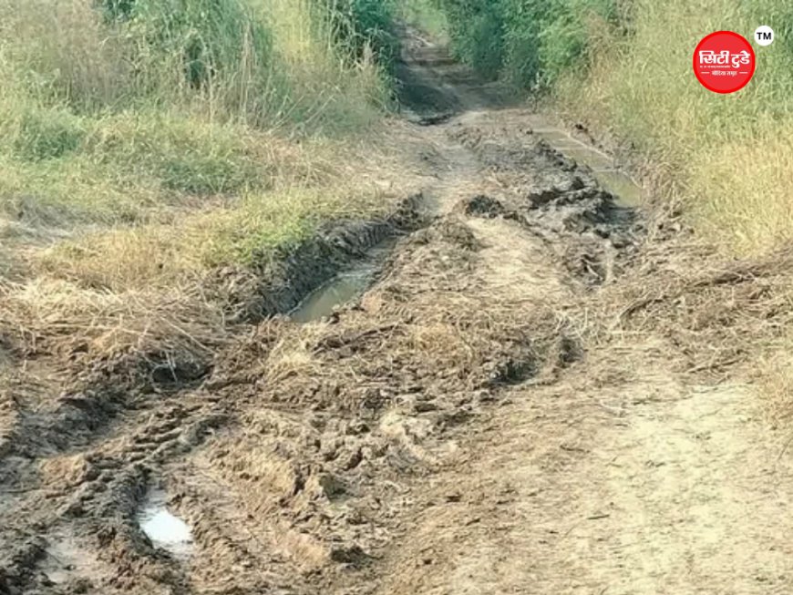 सीहोर में 3 किमी रास्ता बदहाल, ग्रामीण परेशान:बड़ली से टीलाखेड़ी वेयरहाउस मार्ग पर कीचड़-गड्ढे; लोग खेतों से निकलने को मजबूर